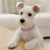 Pet crystal collar Kitten necklace Pet Pendant Shiny Bright Heart Shaped Crystal Diamond Decoration Accessories for Teddy