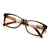 Leopard Bifocals Lense Reading Glasses and Clear Lens For Far view and Near Reading Resin Lens  Presbyopia Hyperopia Reader