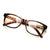 Leopard Bifocals Lense Reading Glasses and Clear Lens For Far view and Near Reading Resin Lens  Presbyopia Hyperopia Reader