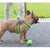 2020 Nylon Heavy Duty Dog Pet Harness Collar Padded Extra Big Large Medium Small Dog Harnesses vest Husky Dogs Supplies